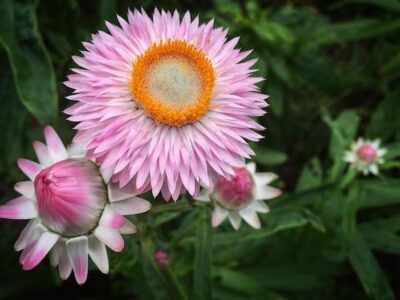 10 Truths of Being a Female Farmer Image